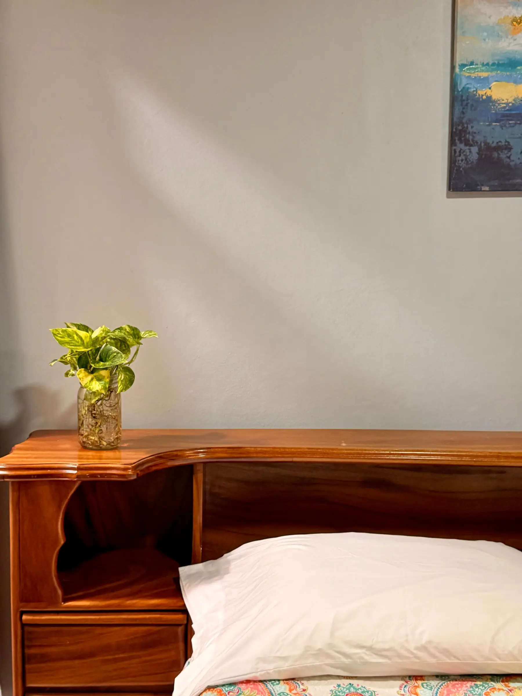 Detalle de la cabecera de madera con una planta en la Habitación Oasis #1